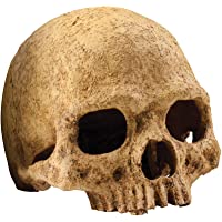 Los mejores  - Exo Terra Cueva Cráneo de Primate